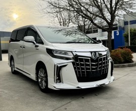 2020 Toyota Alphard 丰田埃尔法 AYH30 SR C (ID 24116)